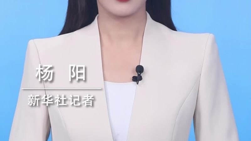 BI数据可视化项目代理
